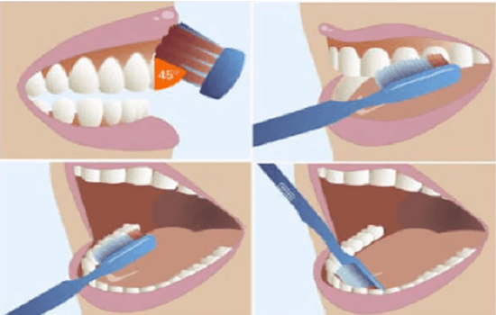 ​Dịch vụ nha khoa tổng hợp tại Thái Bình